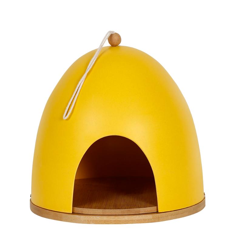 Fuglehus, bue, gul - Blomsterverden